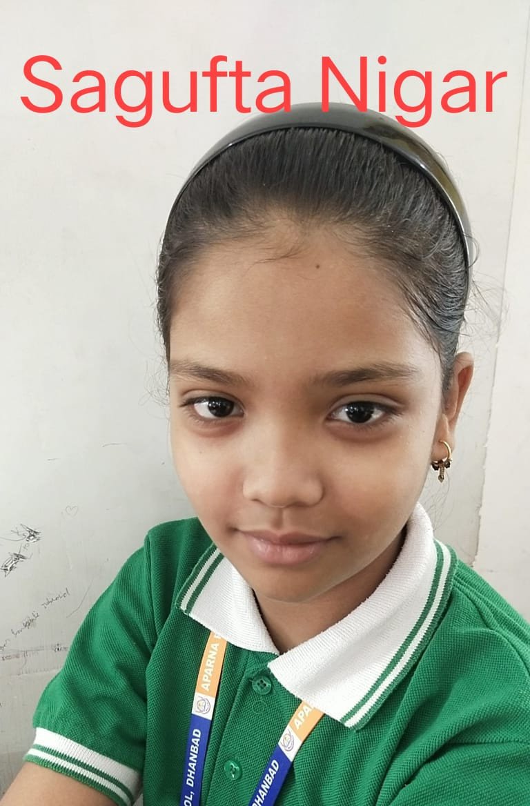 Shagufta Nigar